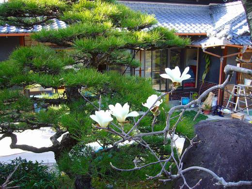 申告終わりご苦労様でした! 深夜便終わり寂しいです!/