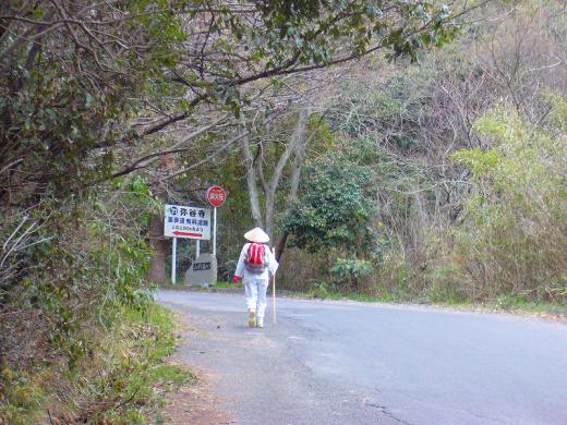 種子原人さん、写真の事、ありがとうございます!/