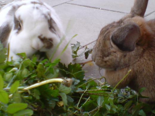 »ô¤¤¤¿¤¤¤±¤É¡¢»à¤ó¤À¤é¤É¤¦¤¹¤ë¤«¡¢/