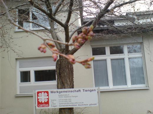 µí¤ò»ô¤¦ÇÀ²È¤¬/