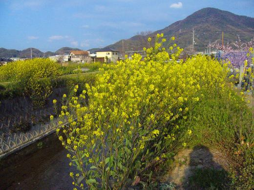 ¤µ¤¯¤éÍÀ¤á¤Æ¤¯¤À¤µ¤Ã¤Æ¡¢µ¤¤ËÆþ¤Ã¤Æ¤¯¤À¤µ¤Ã¤Æ¤¢¤ê¤¬¤È¤¦¤´¤¶¤¤¤Þ¤¹¡£/