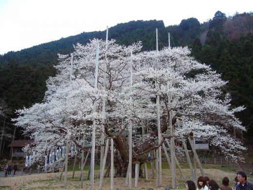 東日本版のモデルになれるなんて、すごいですね!/
