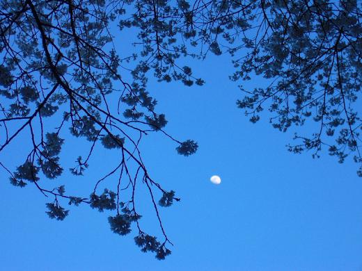 写真をよう2枚入れられませんので・・!/