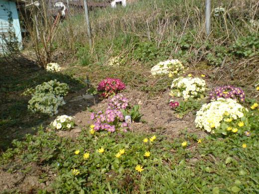 °ìÉô½¤Àµ¤·¤Þ¤·¤¿¡£/