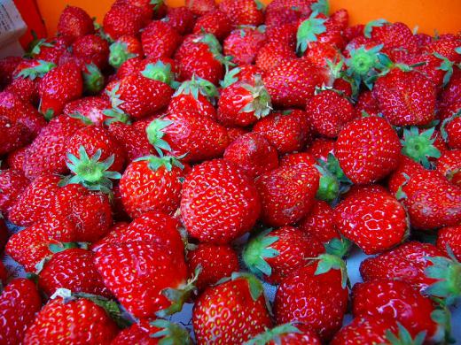 温湯法?! ごめんなさい。/