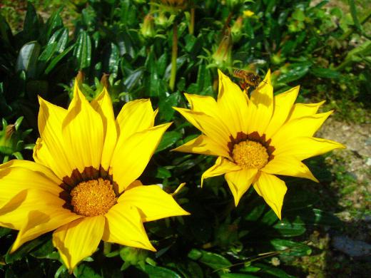 最近、難しくてついていけないよ〜!/