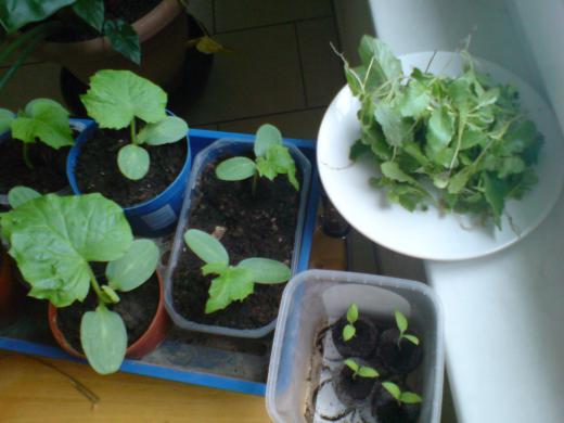 すみません、同一人物です。/