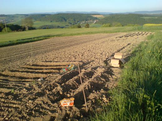 私の山の上の畑/