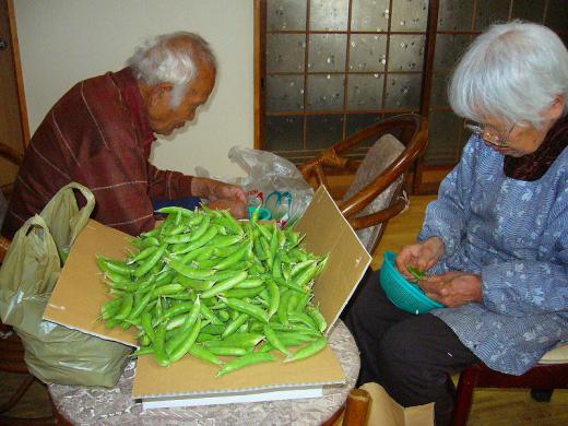 種子原人様へ!/