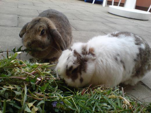 写真を撮って。/