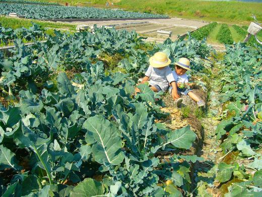 私も、百姓になってますよ!/