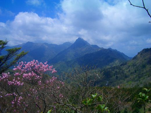 種子原人さん、まだ灰の降る街から逃げ出さないでくださいね!/