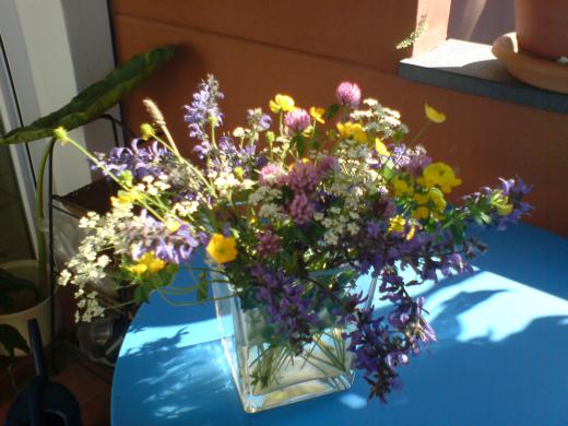 田んぼの畦はお花畑だってこと・・・/