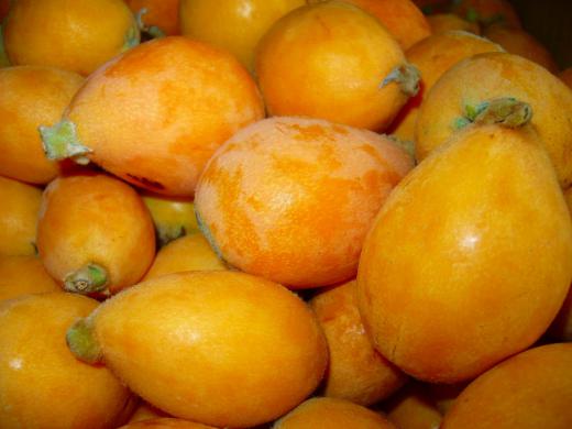 『抜け駆けがあまり無い』・・・・!/