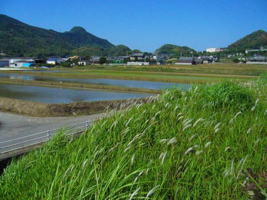 くみさんは、いろんな野菜作っているんですね。/