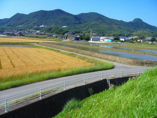 くみさん、ごめんなさい!/