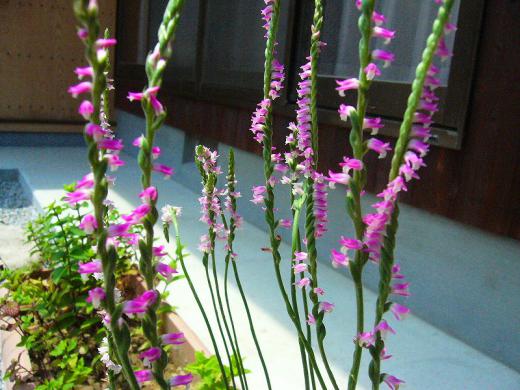 菅野さんのお言葉に甘えてごめんなさいです!/