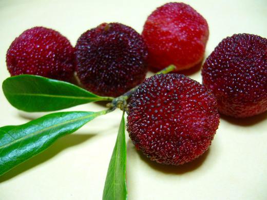 何でも、美味しいが◎!・・・?/