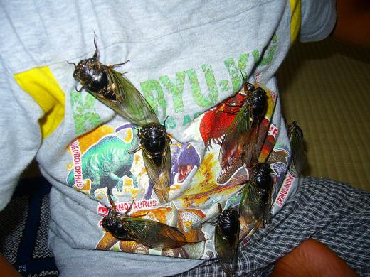 やっぱり同意を得ないとね・・・!/