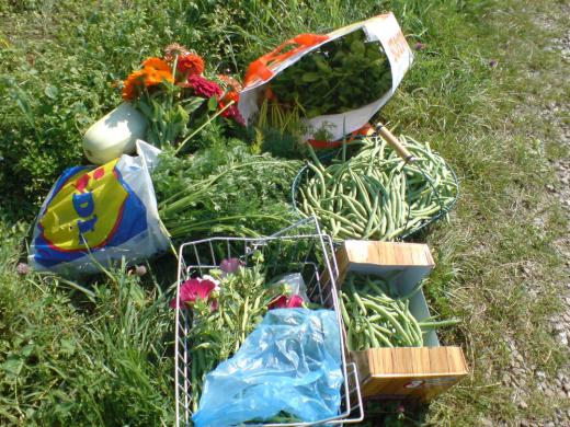 願いは叶う、感じがしてます。/