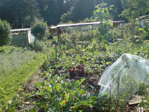 ¥À¡¼¥Á¥ã¡Ä¤½¤·¤Æ¡¢¥¯¥é¥¤¥ó¥¬¥ë¥Æ¥ó/