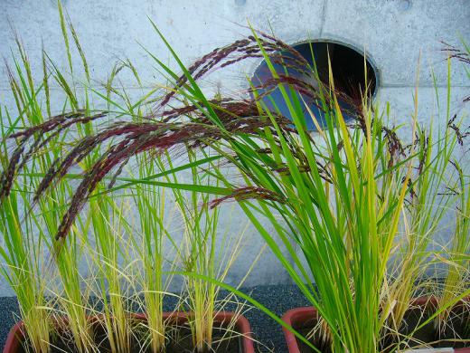 ¥Ö¥í¥°¤Î¼ç»Ý¤òÍ𤷤ơ¦Í𤷤ơª¤´¤á¤ó¤Ê¤µ¤¤¡ª/