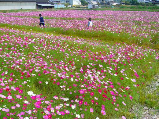 う・ふ・ふふふのふ!/