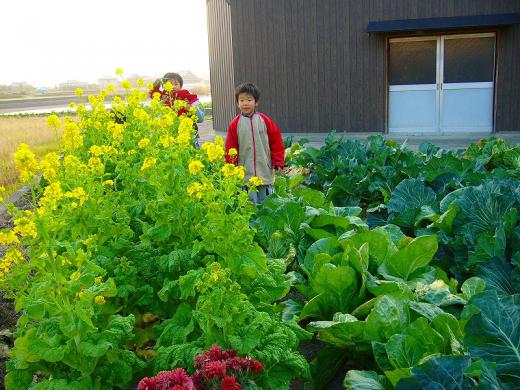 くみさ〜ん! 物知りですね! ありがとうございました!/