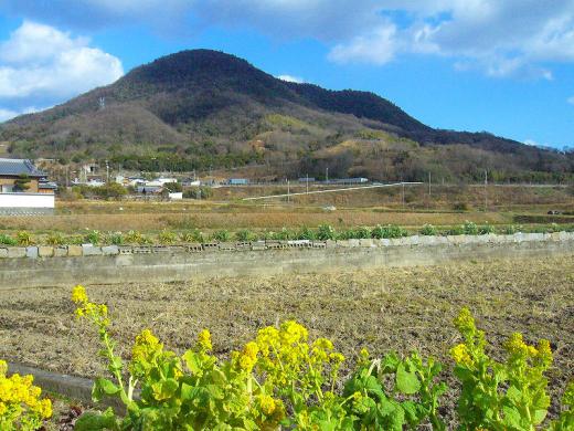 ふう〜ん、ばかされるネ!/