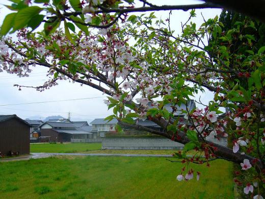 正直に伝えます!/