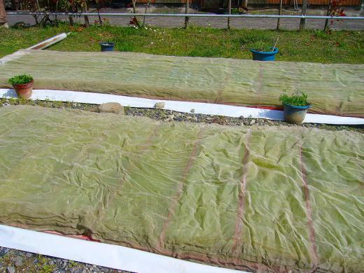 お話が変わりますけどゴメンなさい!/