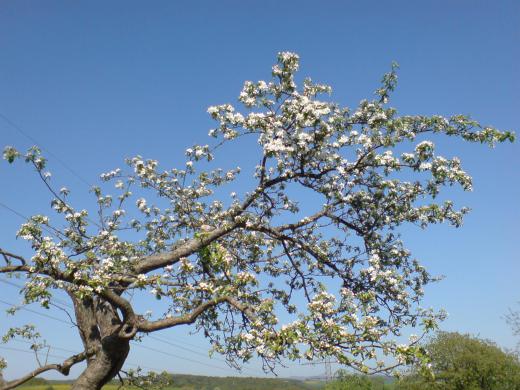 ありがとうございます!これで安心しました。/