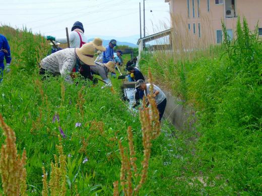 すごい!・・・夢でも何でも私はすっきり!・・・/