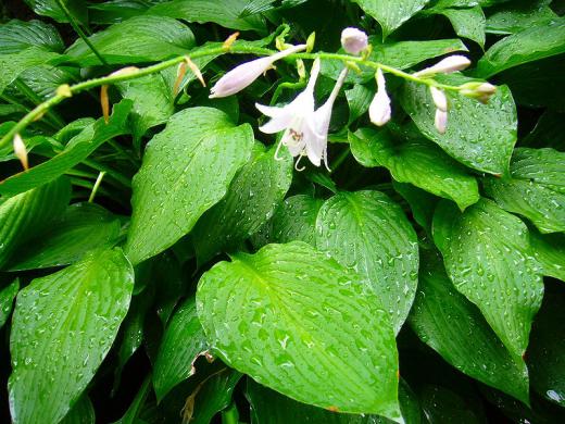 これは、どうでしょうか?/