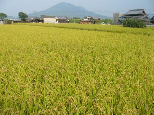 大変ですよね!/