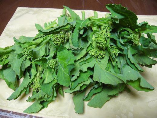 2・26、そっと片隅に・・・、/