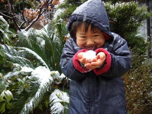 讃岐にも雪!/
