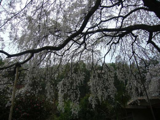 土の旅人さんへ!/