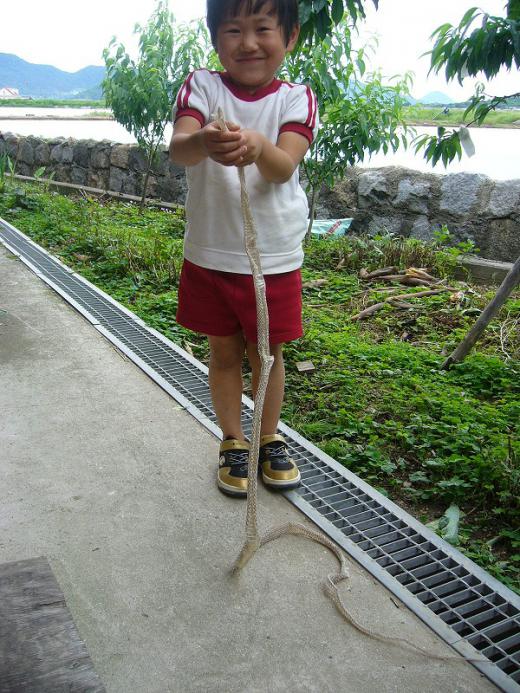 桜から一気に春ですね!/