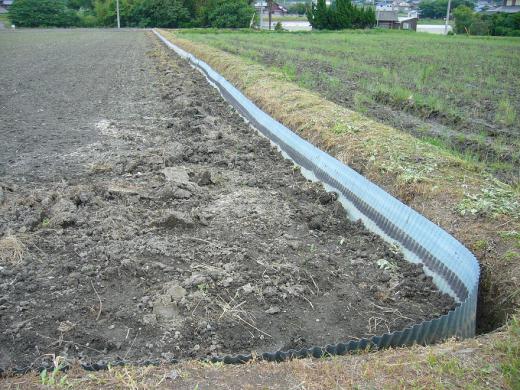 讃岐の田植えも終わりそうです!/
