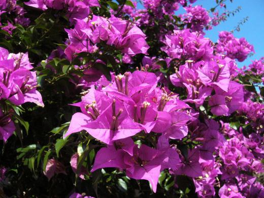 たつ年・・・何も良くならなくても、私は頑張るわな!/