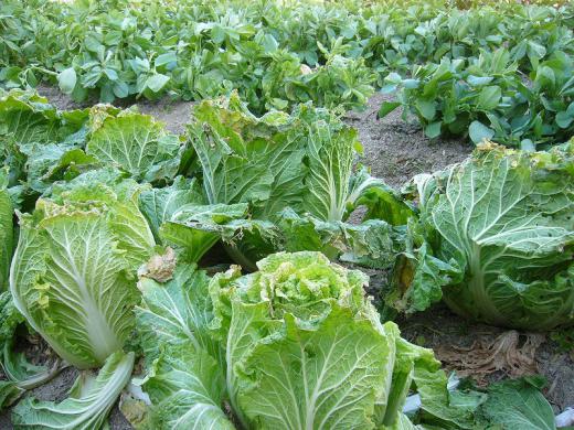 教えてください!/