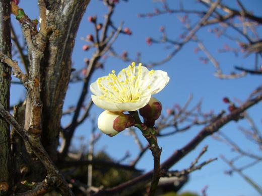 ¥¿¥¤¤Ã¤Æ¡¦¡¦¡¦¡¦¡©/