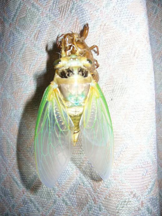 みなさん夏バテしているのでしょうか?/