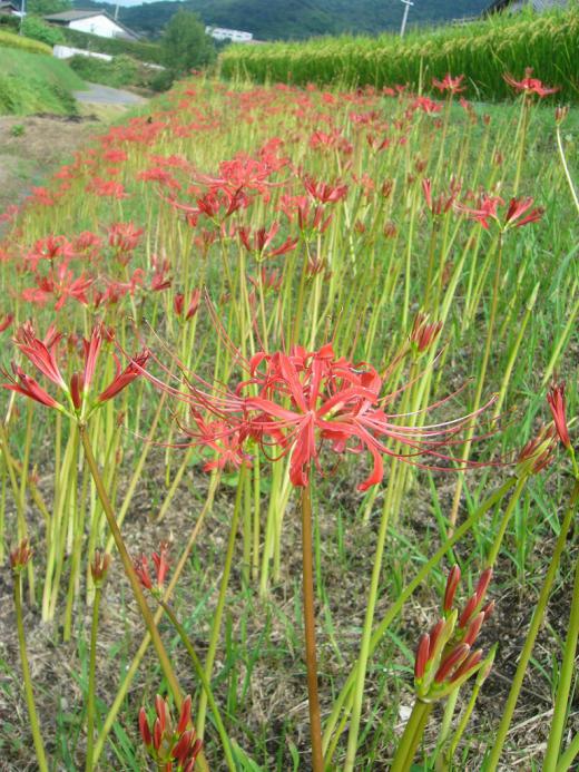 大変な場面をどうやって?/