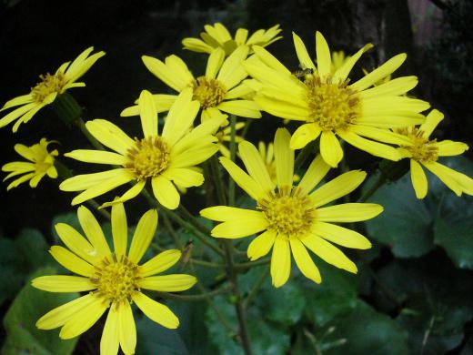 ここで勇気とやる気いただいてま〜す!/