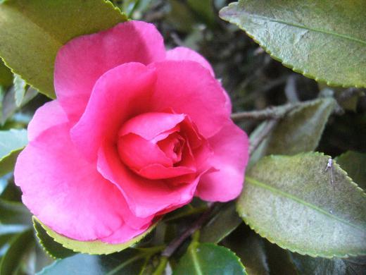 ¤ê¤ó¤´¤âÀ㤬ÀѤâ¤ë¤È¡¦¡¦¡¦¡¢/