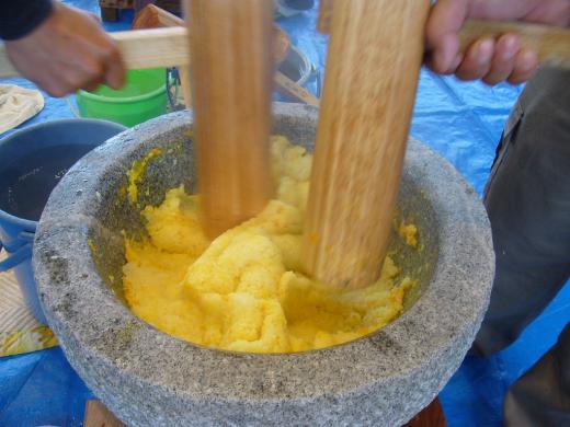 幼稚園の先生もしてらしたのですか?/