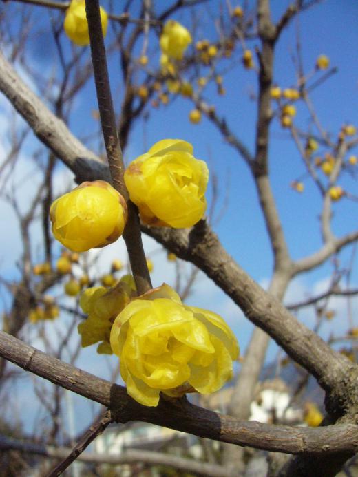 昨年の暮れから・・・!/