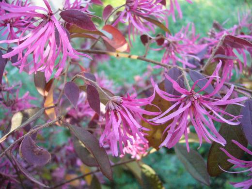 秘境の温泉・・・・羨ましいなぁ〜・・・・!/